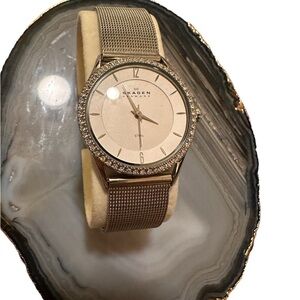 Woman’s Skagen Denmark Watch